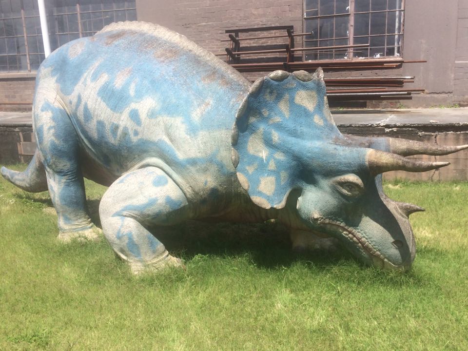 LouisvilleTriceratops