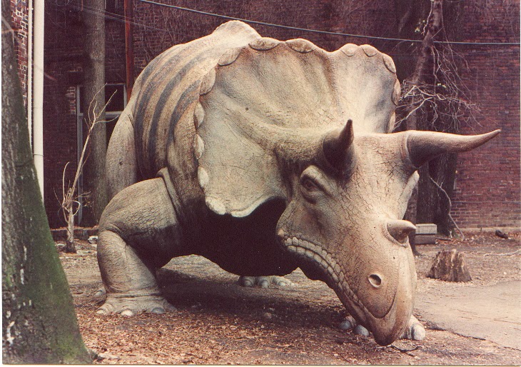 LouisvilleTriceratops.jpg